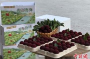 六爻教程高速赋能产业升级：一条“杨梅路”的致富密码
