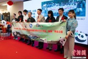 六爻教程中国彩绘熊猫艺术国际巡展东京站开幕