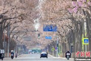 六爻教程共建“花园城市” 北京这场议政会“百花齐放”