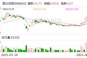 六爻教程盛达资源：公司主营贵金属、有色金属矿的采选和销售