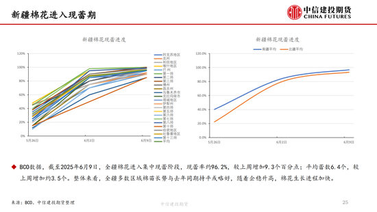 【棉花纺谈】供应端阶段性缩量 疆棉(🐬)基差坚挺